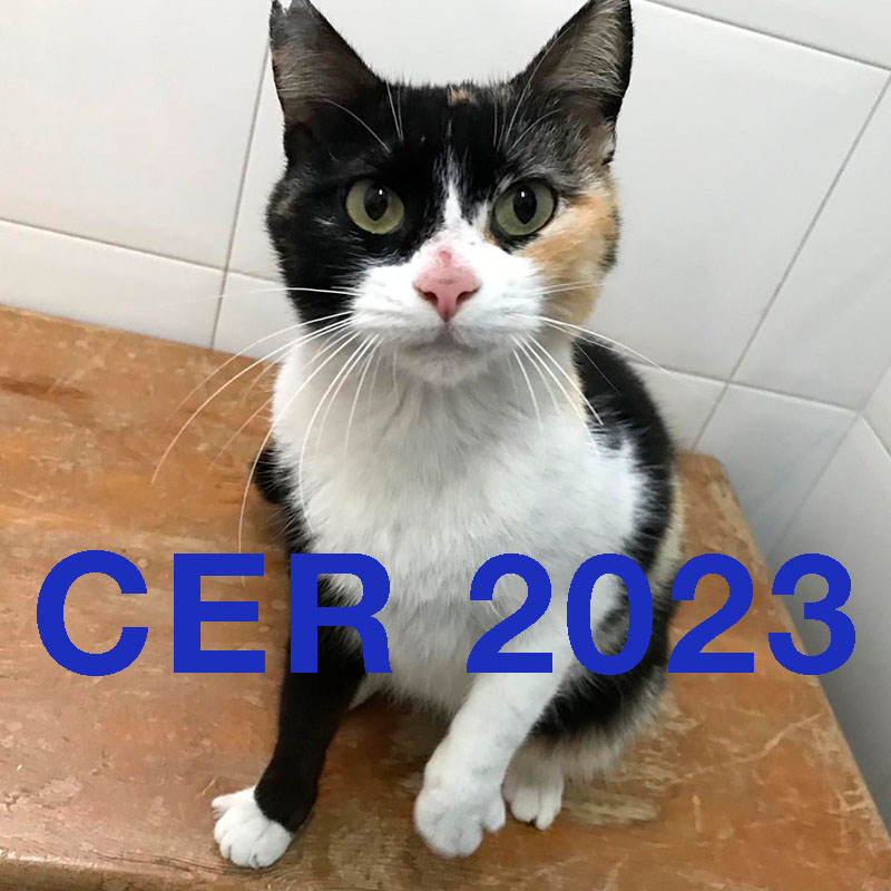 CER 2023