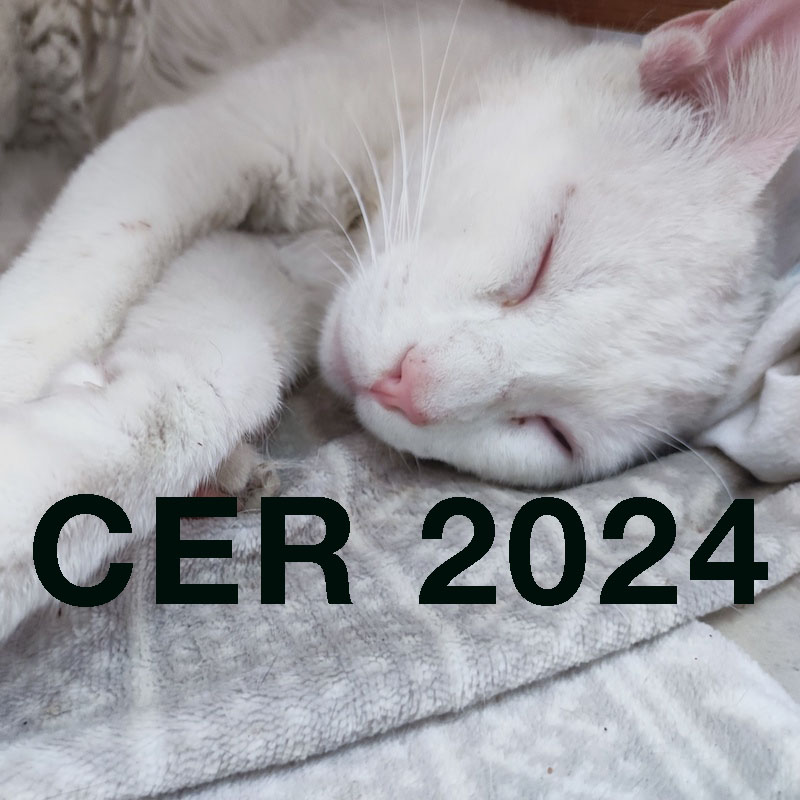 CER 2024